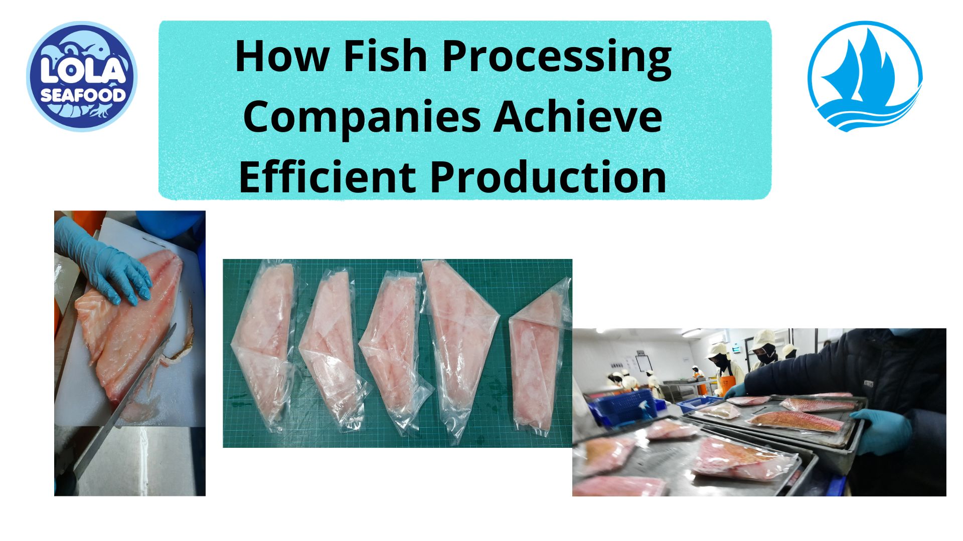 How Fish Processing Companies Achieve Efficient Production